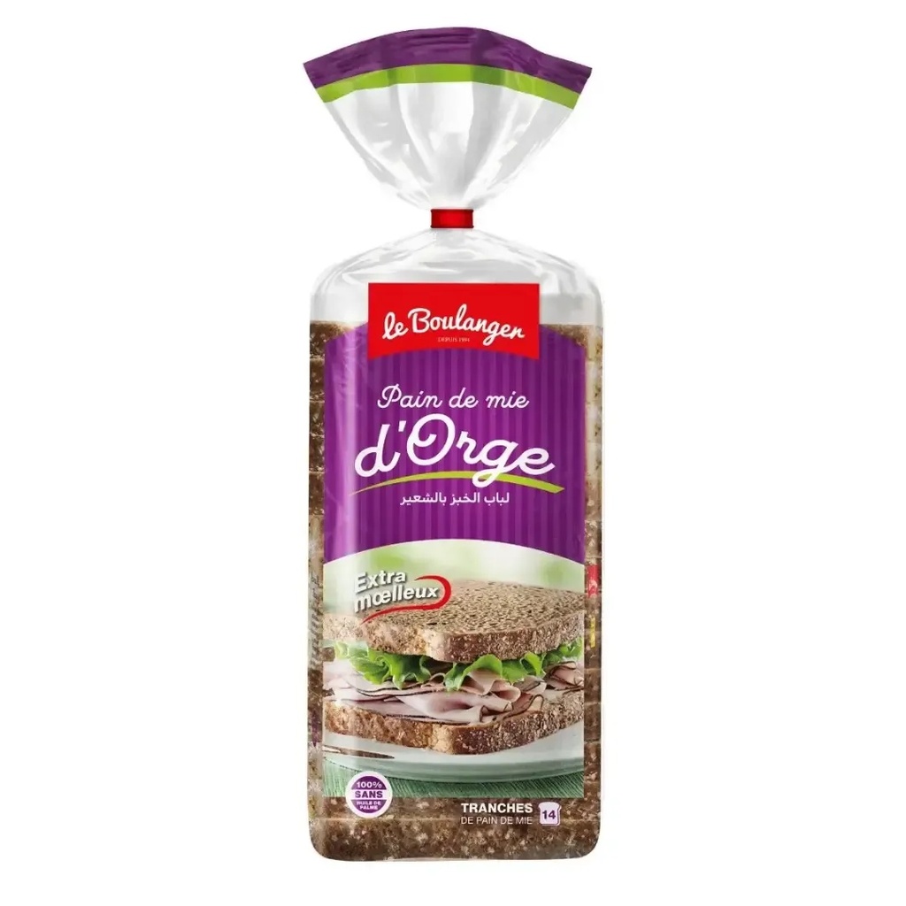 PAIN DE MIE ORGE