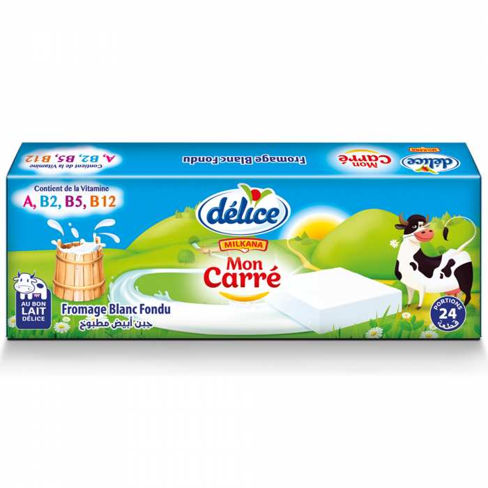 FROMAGE BLANC FONDU CARRE 24 P